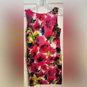 Ann Taylor dress